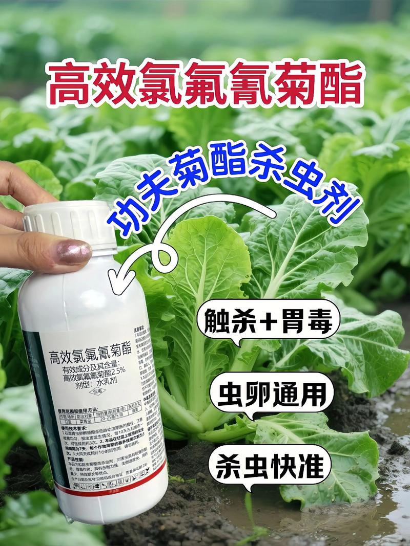 郴州代生中心:农药对供卵代生妈妈的危害